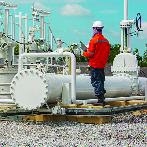 Risk-Based Inspection Program Requirements Checklist